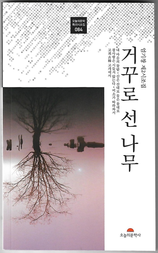 온 세상 밝히는 등불처럼…